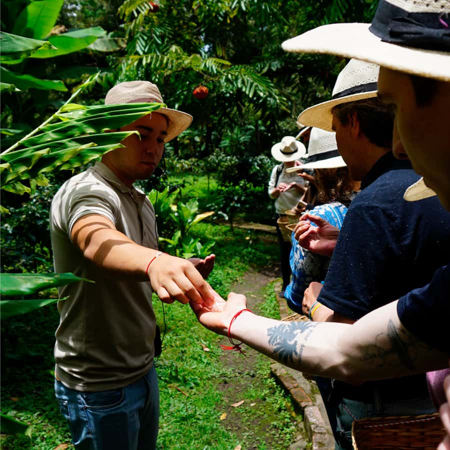 From Bogotá: Coffee Farm and Tequendama Falls Tour - A couple hours in the Bogotá area, then downriver photos