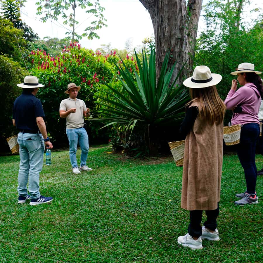 From Bogotá: Coffee Farm and Tequendama Falls Tour - Should you book this Bogotá coffee and Tequendama Falls tour?