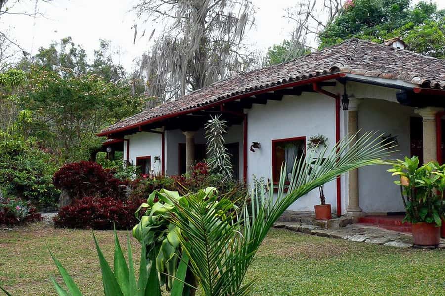 From Bogotá: Coffee Farm Experience Private Day Tour - Orchids and birds: the estate side of the coffee experience