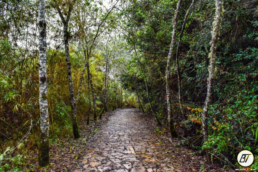 From Bogota: Guatavita Lake & Zipaquira Salt Cathedral Tour - Who this tour suits, and who should reconsider