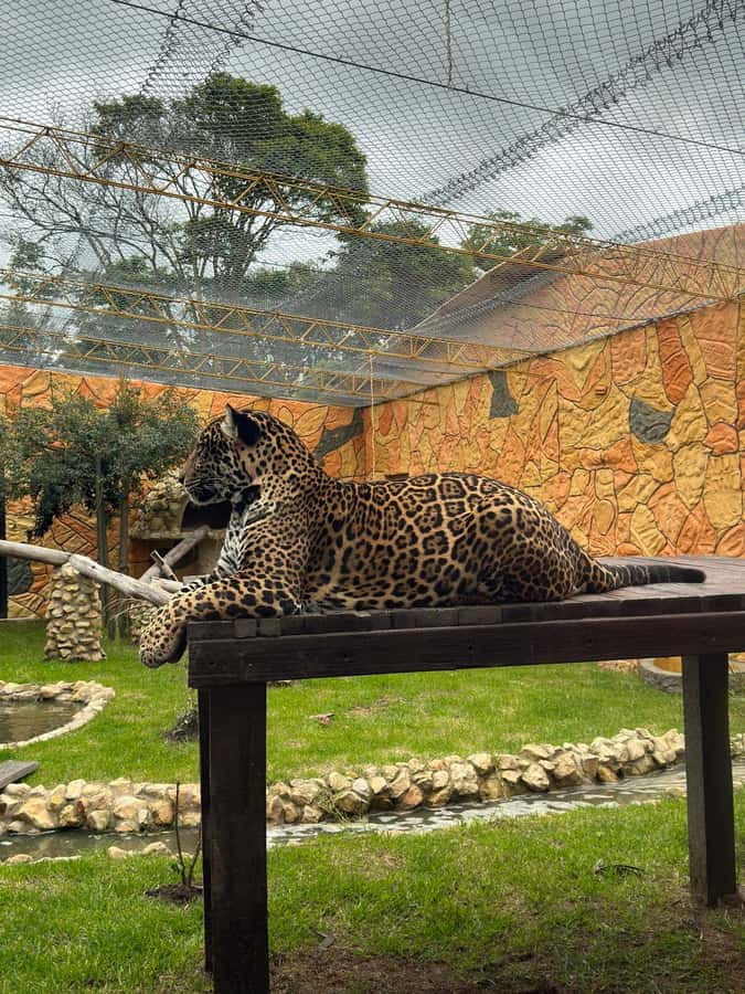 From Bogota: Jaime Duque Park and zoo with ticket included - Arriving at Parque Jaime Duque: Taj Mahal Replica and Quick Orientation