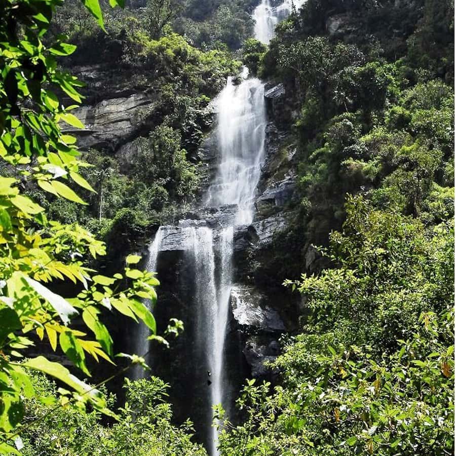 From Bogota: La Chorrera Waterfall Guided Hike - Key things to know before the hike
