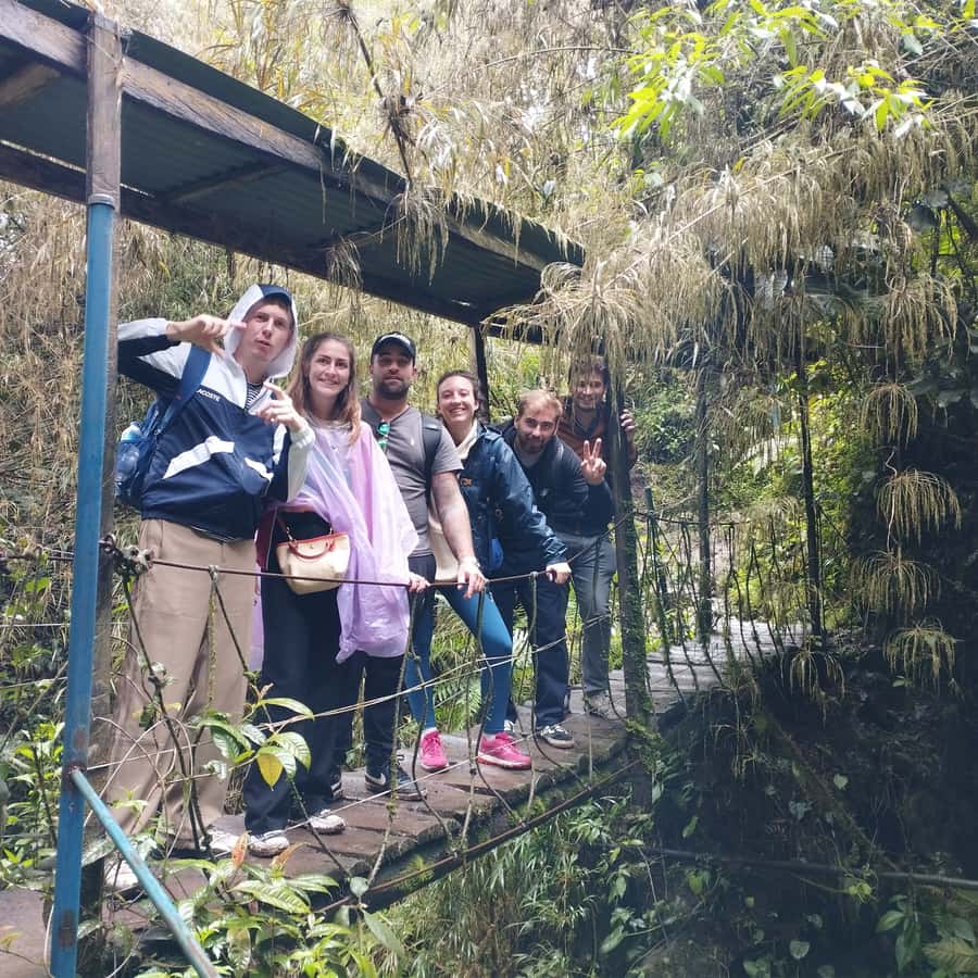 From Bogota: La Chorrera Waterfall Guided Hike - Bird spotting and plants: why the guide matters so much