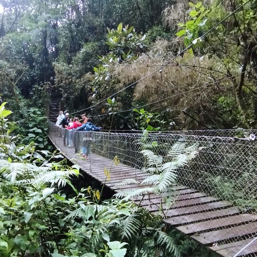 From Bogota: La Chorrera Waterfall Guided Hike - Guides, group size, and languages: getting what you paid for