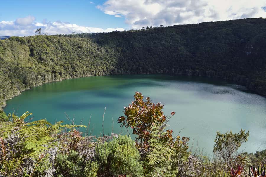 From Bogotá: Lake Guatavita and the El Dorado Legend Tour - Tominé Reservoir stop: where the flooded town makes sense