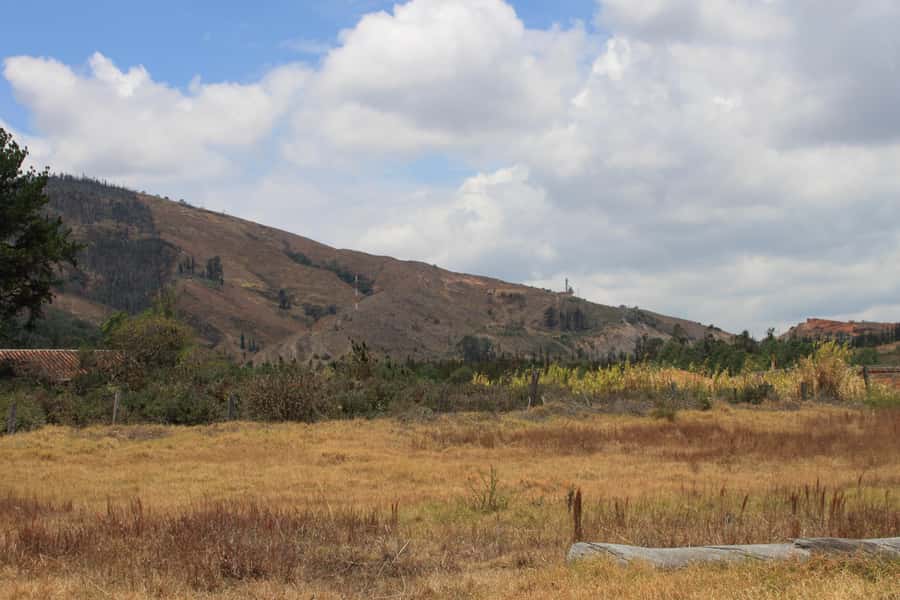From Bogotá: Private Tour to Villa de Leyva - Key highlights worth planning for