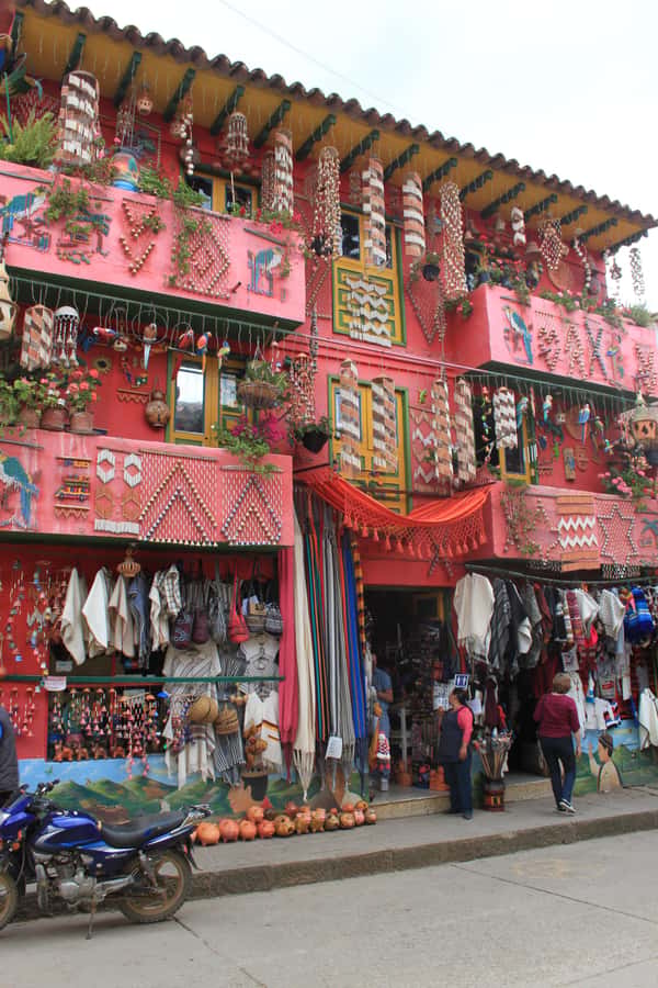 From Bogotá: Private Tour to Villa de Leyva - The day trip setup from Bogotá to Villa de Leyva