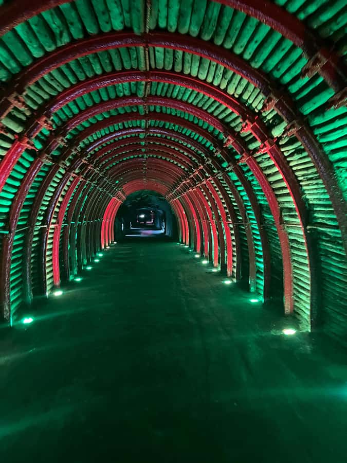 FROM BOGOTA: Salt Cathedral and Andrés Carne de Res (Chía) Tour - Key highlights at a glance