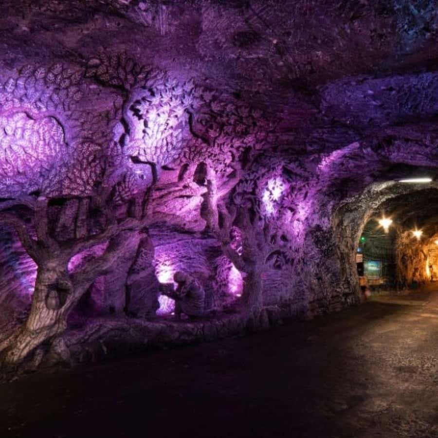 From Bogota: Salt Cathedral Tour in Zipaquirá - Key Points You Should Know Before You Go
