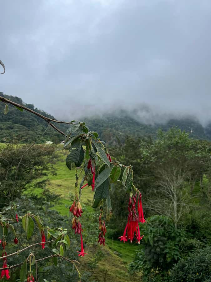 FROM BOGOTA: Tour to La Chorrera, Colombia's highest waterfall. - Key things to know before you go