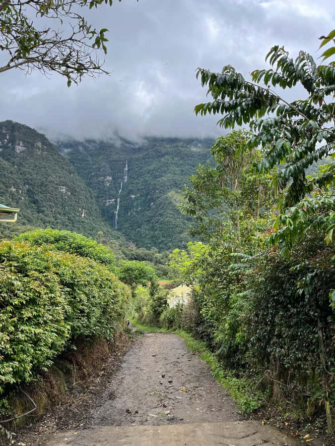 FROM BOGOTA: Tour to La Chorrera, Colombia's highest waterfall. - La Chorrera, 590 meters of waterfall power in Cundinamarca