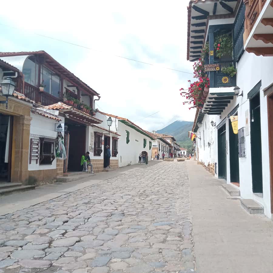 From Bogota: Villa de Leyva Day Magic Town Tour - Who this tour suits best in Bogotá