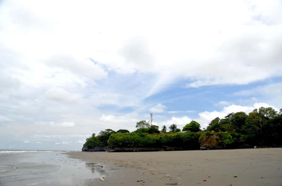 From Cali: Whale Watching Day Trip in Buenaventura - Buenaventura Arrival: Port Time and Setting Up the Day