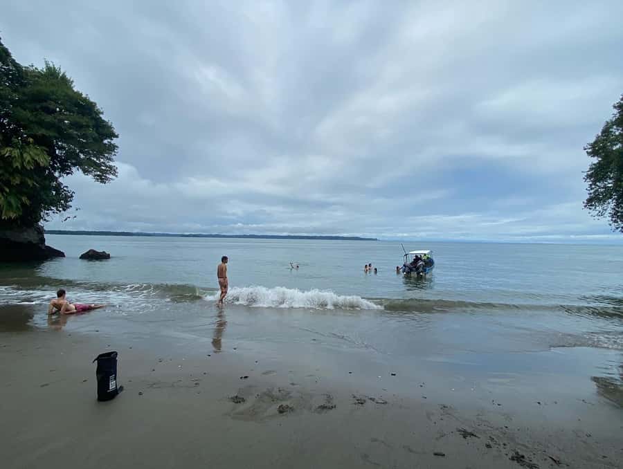 From Cali: Whale Watching Day Trip in Buenaventura - The Early Drive Out of Cali: Breakfast, Rivers, and Andean Views