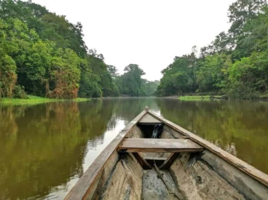 From Leticia: Wild Amazonas Adventure 4-Day Tour - Day 3: Cacao Island sloth trail, Correo Lakes dolphins, and optional nocturnal safari