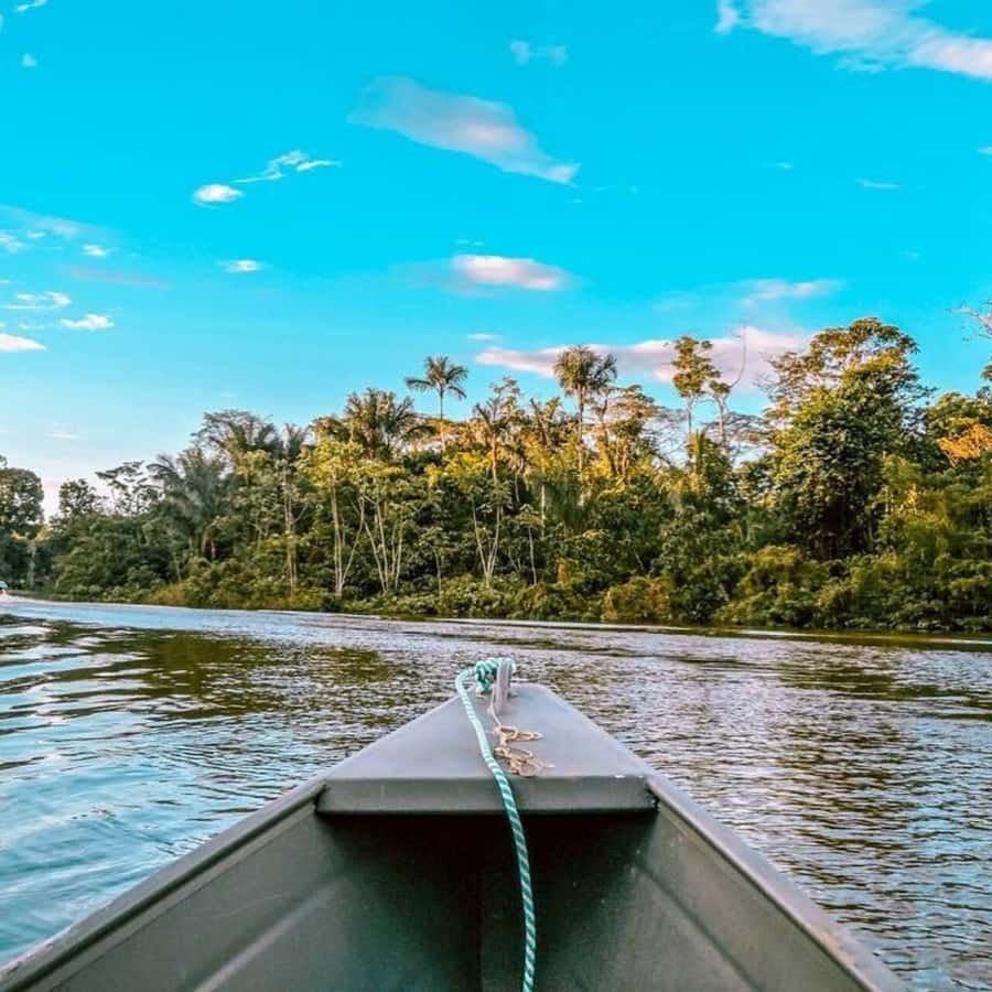 From Leticia: Wild Amazonas Adventure 4-Day Tour - Safety, group size, and how this tour feels day-to-day