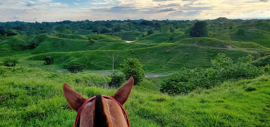 From Medellin; (All-In) The Real Horseback Ranch Experience - Price and Value: Is $250 Worth It?