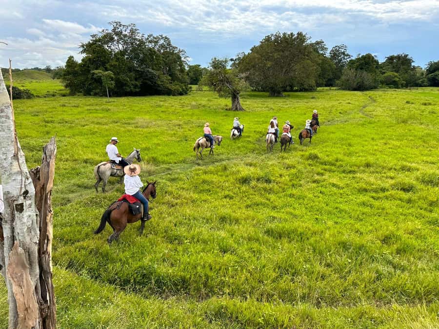 From Medellin; (All-In) The Real Horseback Ranch Experience - Medellín Pickup at 5:00 am, and Why That Matters