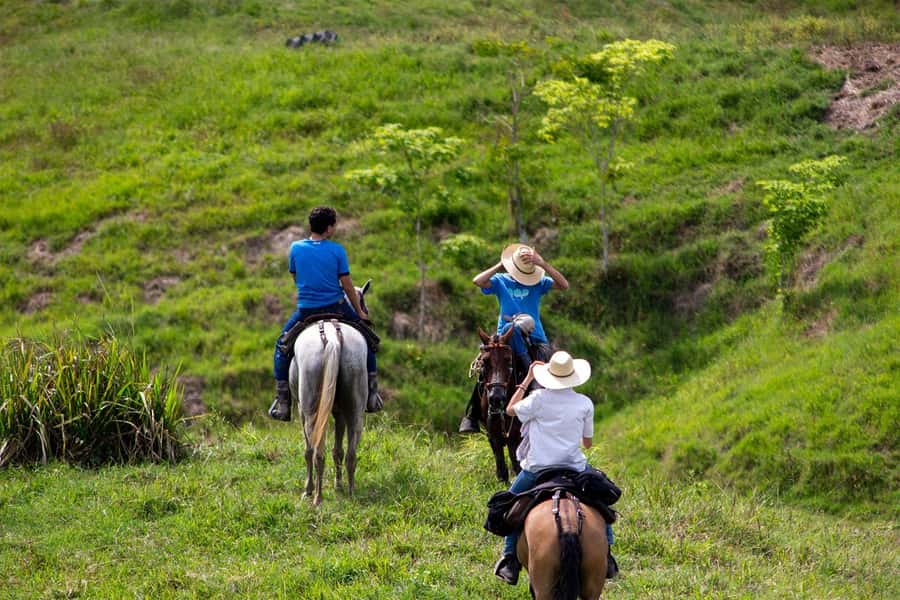 From Medellin; (All-In) The Real Horseback Ranch Experience - The Fiambre Palm-Leaf Picnic in the Fields
