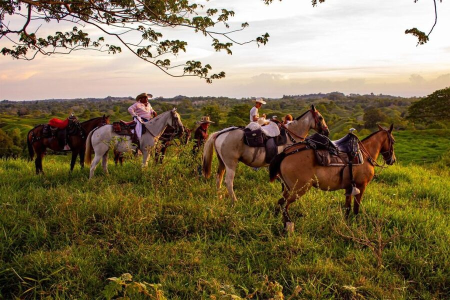 From Medellin; (All-In) The Real Horseback Ranch Experience - Wildlife Encounters You Can Actually Expect