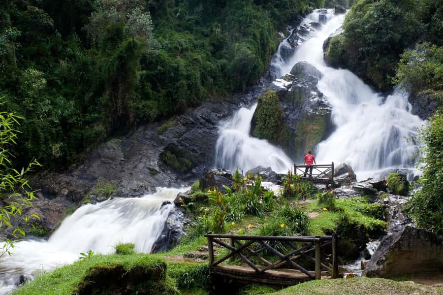 From Medellín: El Retiro Private Tour with Food Tastings - Key highlights you’ll feel the most