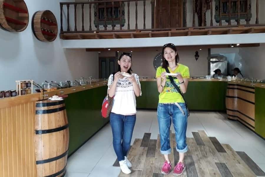 From Medellín: El Retiro Private Tour with Food Tastings - Why this Antioquia half-day fits Medellín perfectly