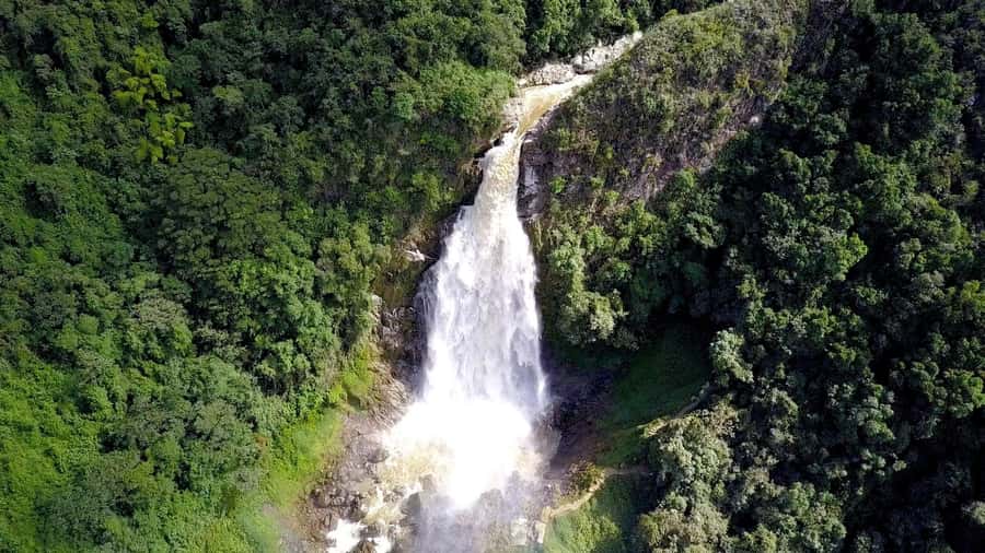 From Medellin: Epic Zipline and Giant Waterfall - The Waterfall Hike: 30 Minutes To The Base Of A 100 Meter Drop