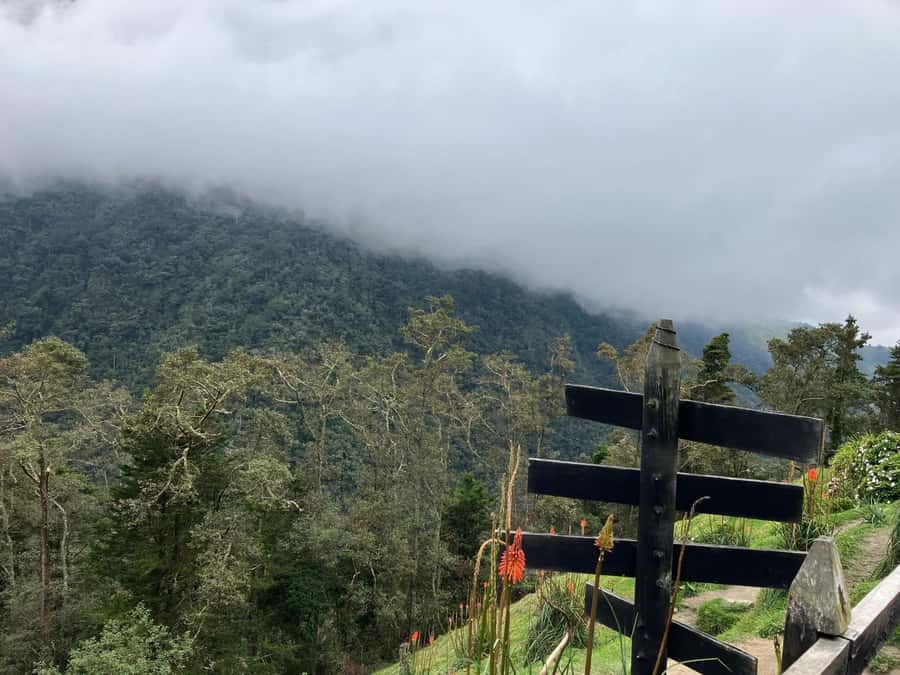 From Medellín: Jardín Private 2-Day Tour with Activities - Who this tour fits best