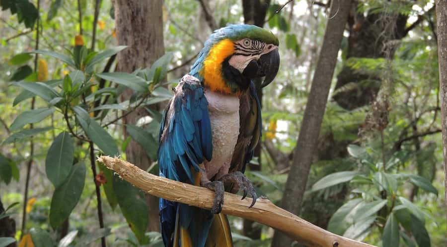 From Medellín: Jardín Private 2-Day Tour with Activities - Private SUV comfort with an English-speaking guide