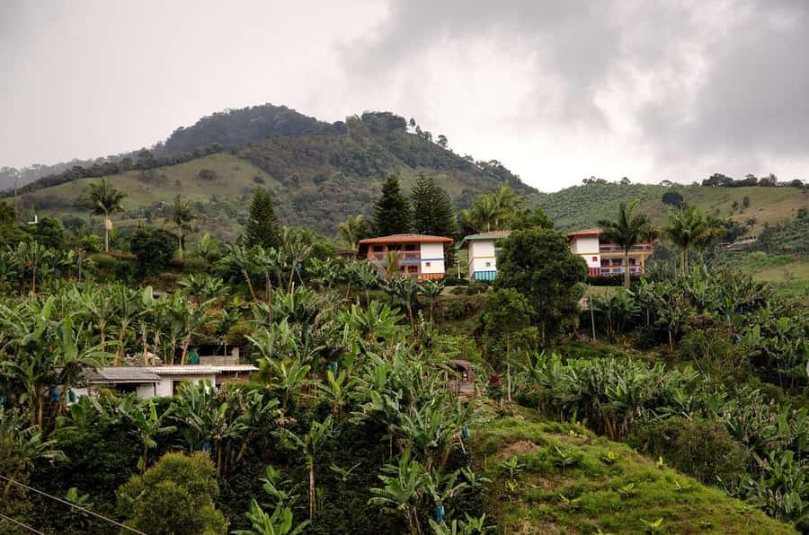 From Medellín: Jardín Private 2-Day Tour with Activities - Jardín town square and the Basilica of the Immaculate Conception