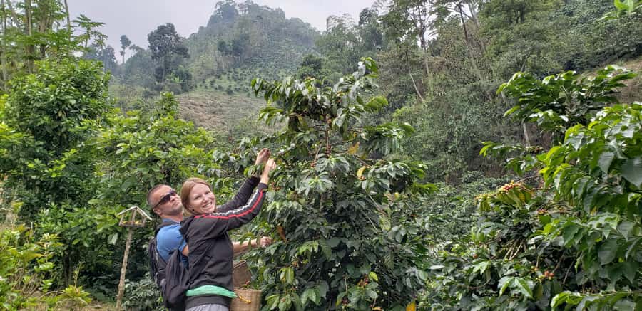 From Medellin: Private Envigado Coffee Tour with Tastings - Key highlights worth planning for