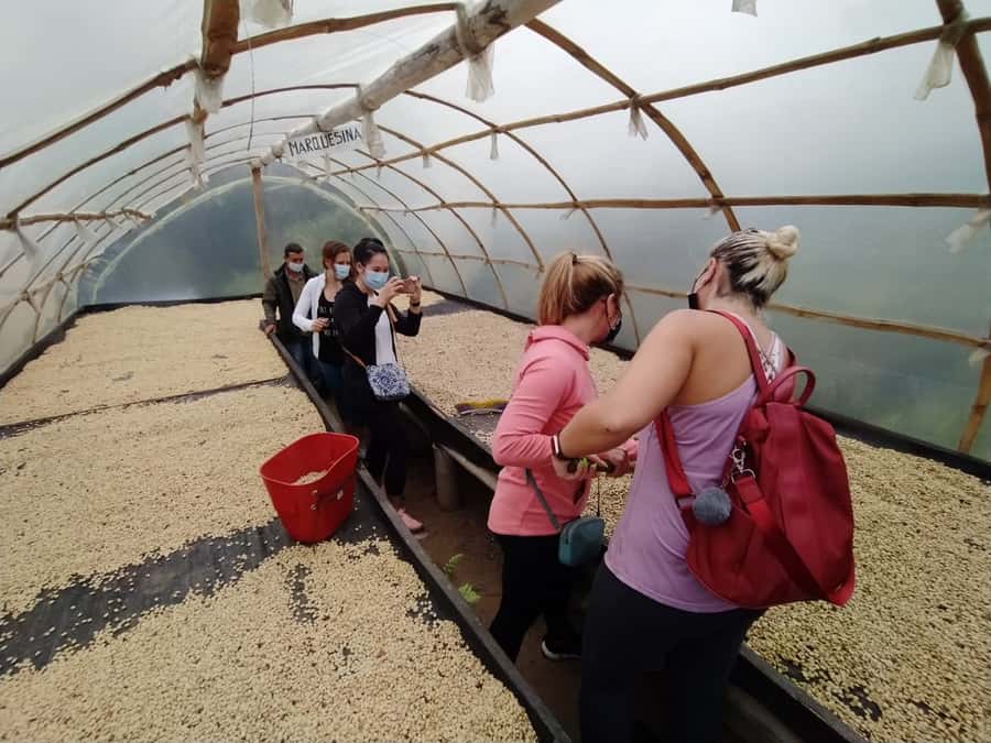 From Medellin: Private Envigado Coffee Tour with Tastings - The coffee villa: seed-to-cup steps and fresh tastings