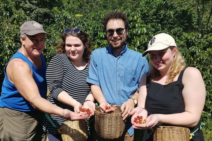 From Medellin: Private Envigado Coffee Tour with Tastings - Price and value: is $98 per person worth it?