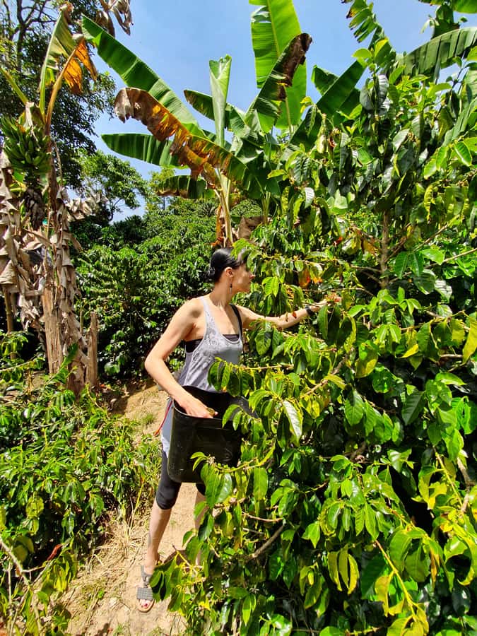 From Medellin: Private Envigado Coffee Tour with Tastings - Comfort, timing, and what to bring (so you enjoy the whole day)