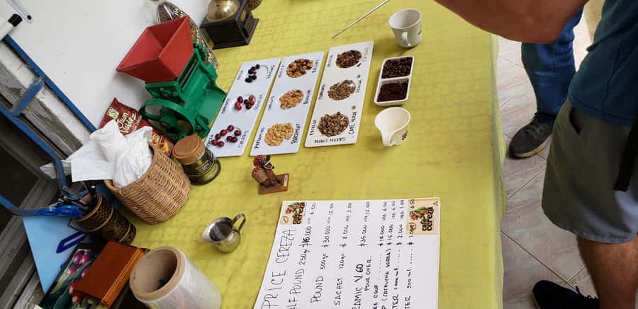 From Medellin: Private Envigado Coffee Tour with Tastings - Who this tour suits best