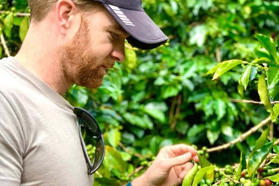 From Medellin: Private Guatape Car Tour with Coffee Tour - Finca La Riviera Coffee Tour: Where the Smell Makes the Lesson Real