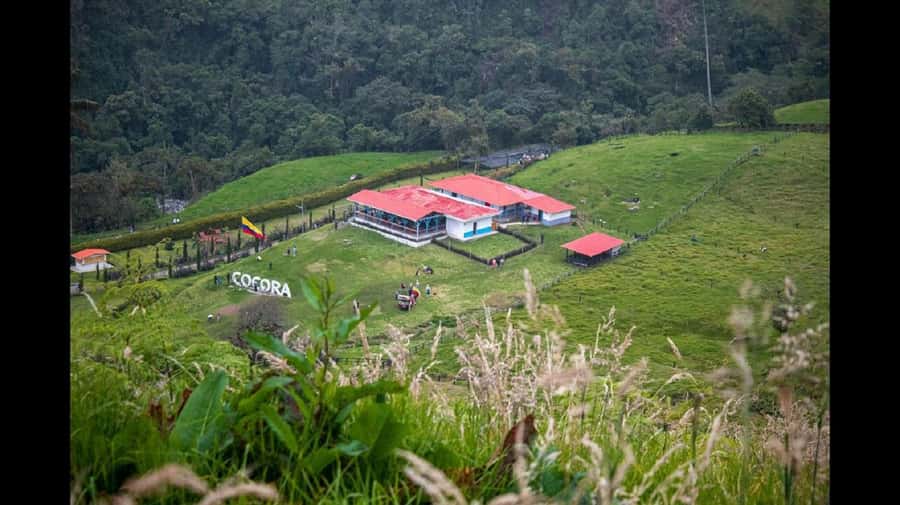 From Salento: Cocora Valley Hiking Tour with Lunch - Why Cocora Valley feels unforgettable for 1 reason: the wax palms