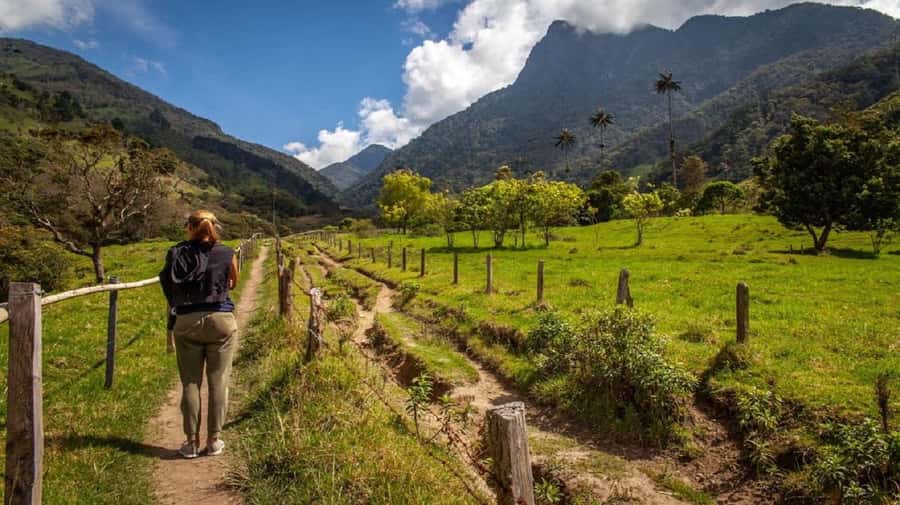 From Salento: Cocora Valley Hiking Tour with Lunch - Salento meet-up: start location and timing that matter