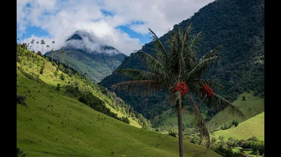 From Salento: Cocora Valley Hiking Tour with Lunch - Hiking Cocora Valley: pacing, terrain, and how to make it enjoyable