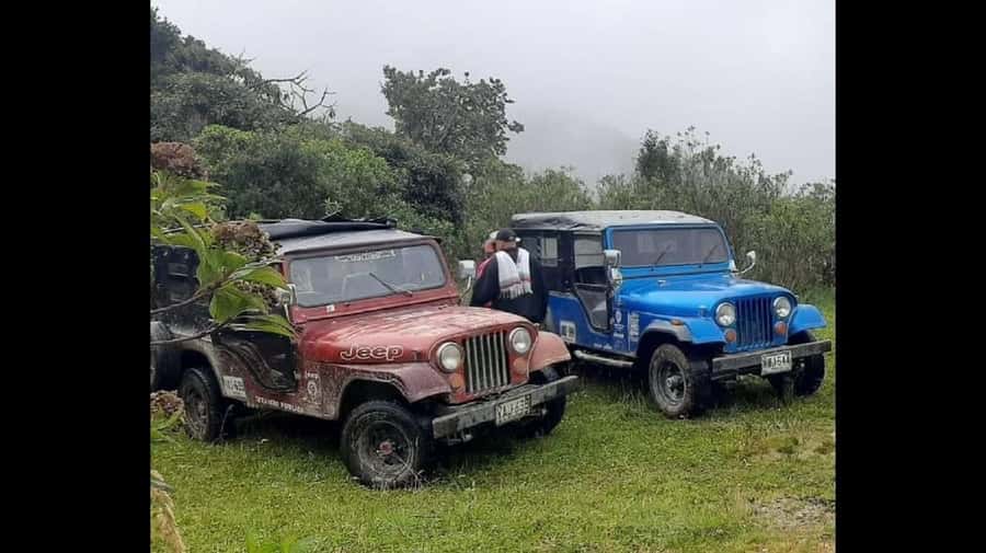 From Salento: Cocora Valley Hiking Tour with Lunch - The Willys Jeep ride out of Salento: fun, practical, and weather-proof