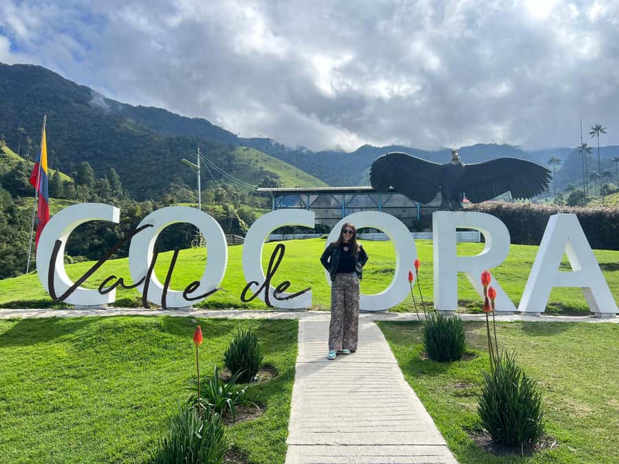 From Salento: Cocora Valley Shared Tour - Why Cocora Valley’s wax palms grab your attention