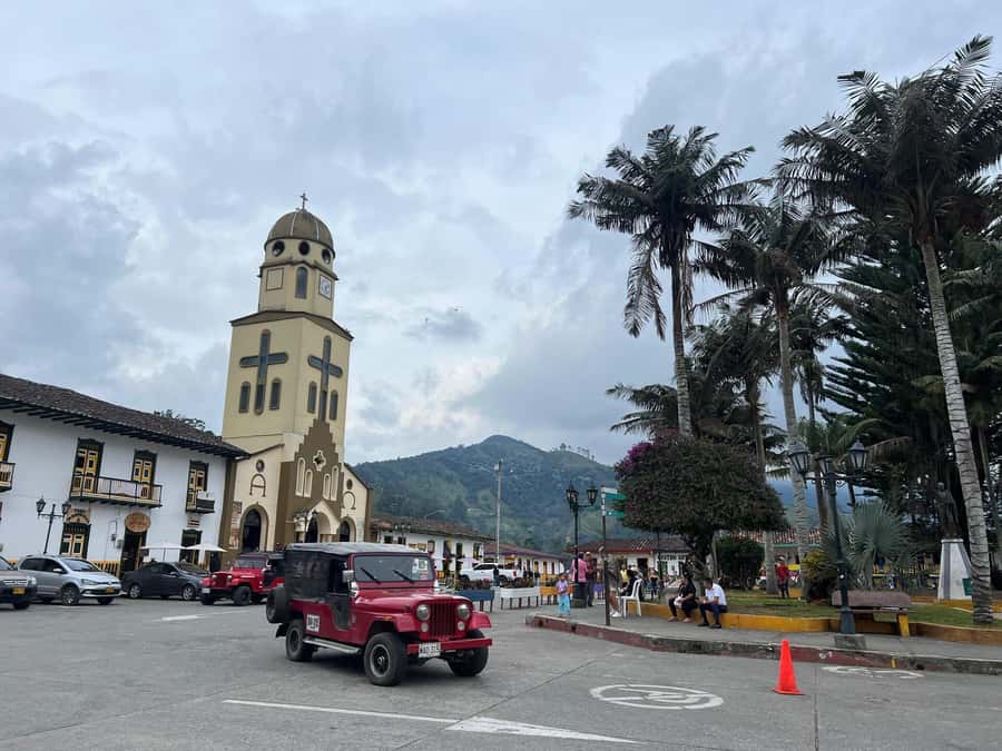 From Salento: Cocora Valley Shared Tour - How guides turn palm and bird spotting into a better hike