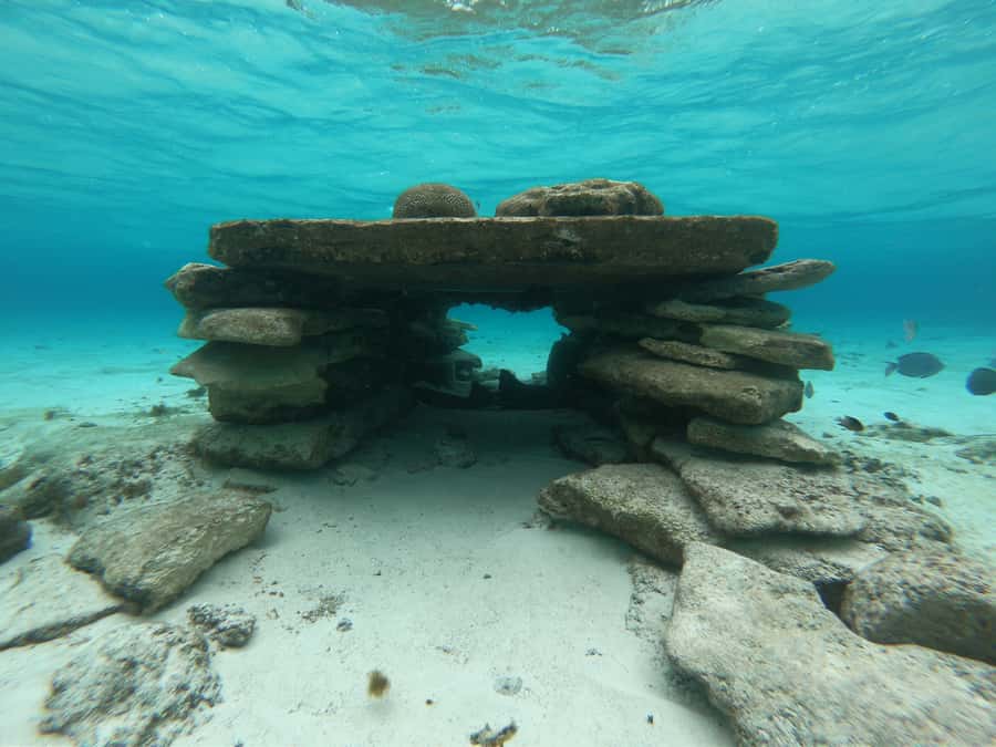From San Andres: Cayo Acuario Tour - Walking to another key: the fun extra, with one practical caution