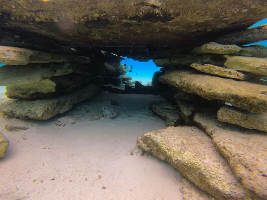 From San Andres: Cayo Acuario Tour - Who this Cayo Acuario tour is best for