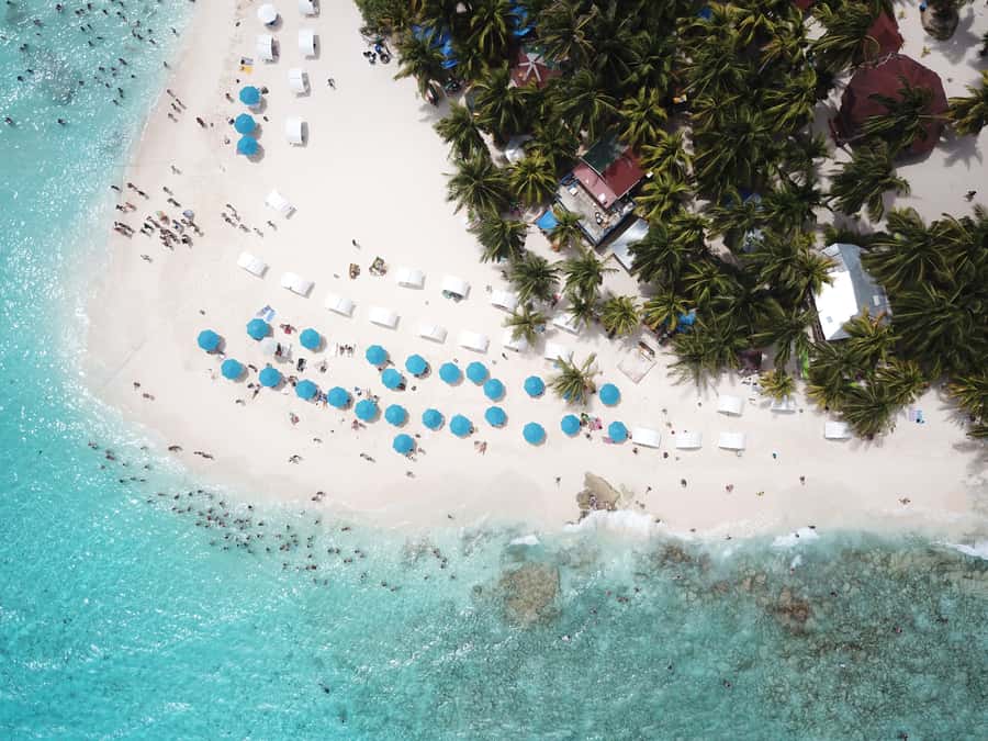 From San Andrés: Speedboat Tour to Johnny Cay Island - Key takeaways before you go