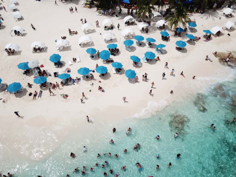 From San Andrés: Speedboat Tour to Johnny Cay Island - Swimming and snorkeling in clear water, and the gear reality