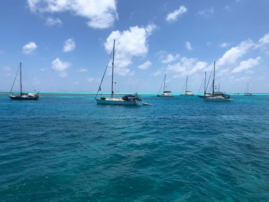 From San Andrés: Speedboat Tour to Johnny Cay Island - Marine life viewing, iguanas, and the “watching” advantage