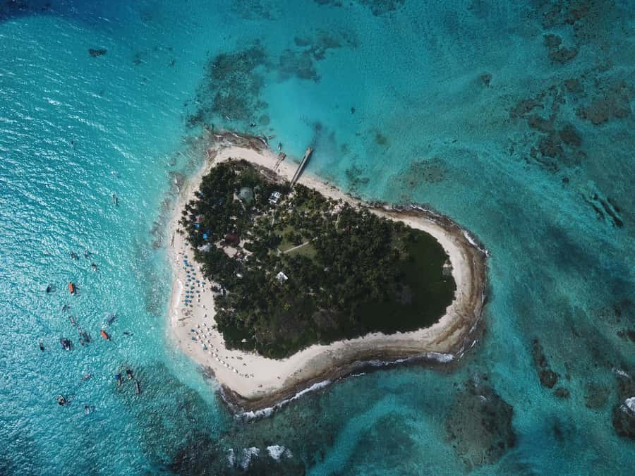 From San Andrés: Speedboat Tour to Johnny Cay Island - The meeting point at Av. Newball, what to watch for