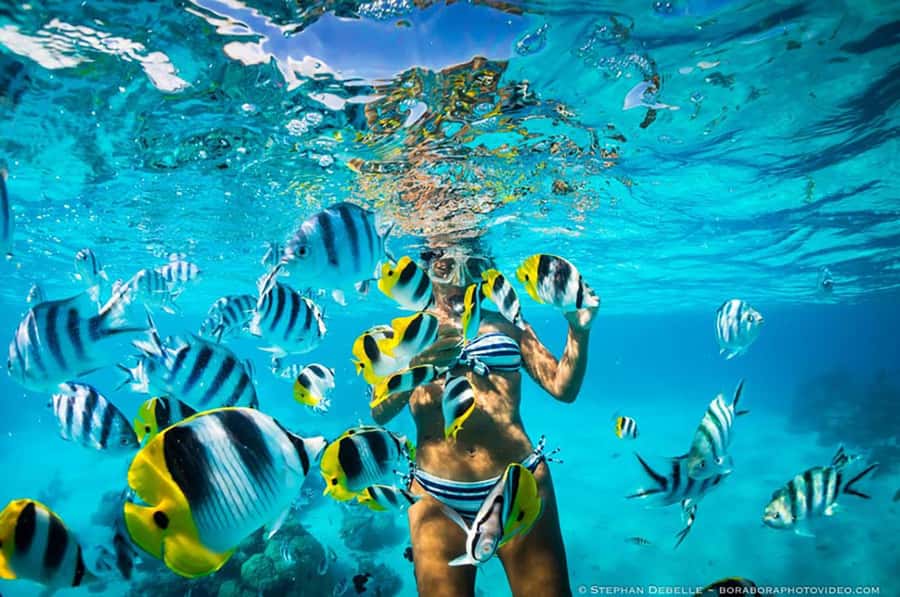 From Santa Marta: Sisiguaca Beach Hike with Snorkeling - Key Things I Found Most Worth Knowing
