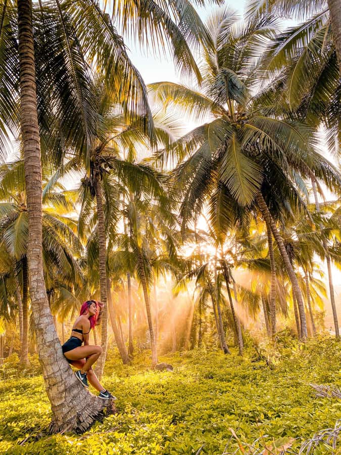 From Santa Marta: Tayrona National Park Guided Tour - Why Tayrona feels different from regular beach days
